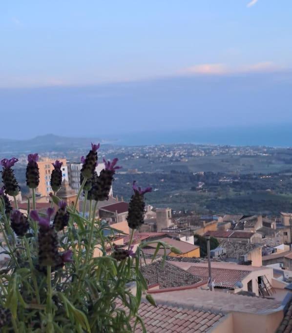 Casuzza Al Duomo Con Vista Valle Dei Templi! Agrigento Exteriör bild